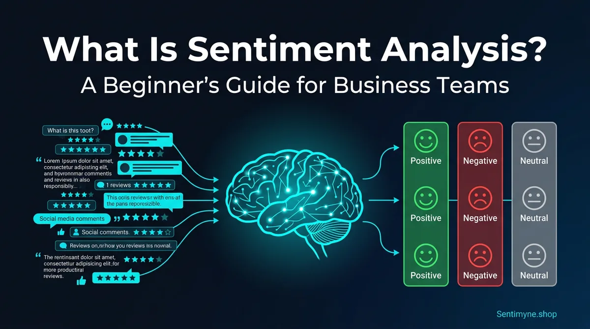 Sentiment analysis guide for business teams